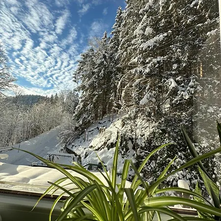 בית נופש Haus Georgenhoehe *