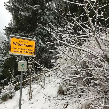 Haus Georgenhoehe Wildemann