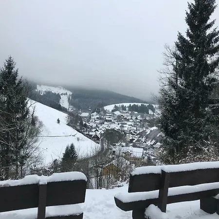 בית נופש Haus Georgenhoehe *