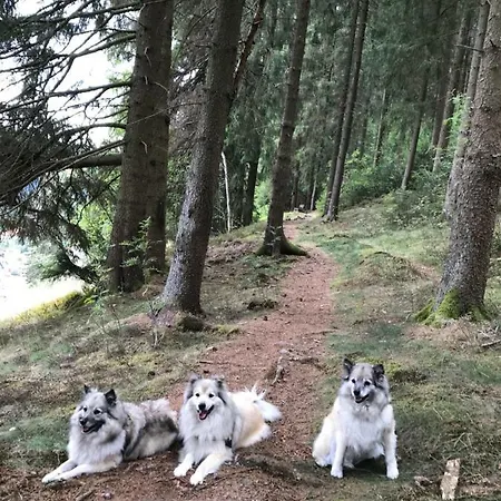 Haus Georgenhoehe וילדמן