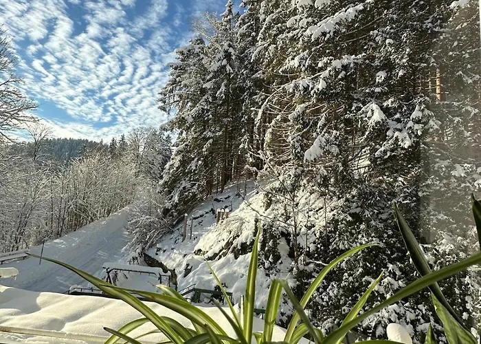 Σπίτι διακοπών Haus Georgenhoehe *