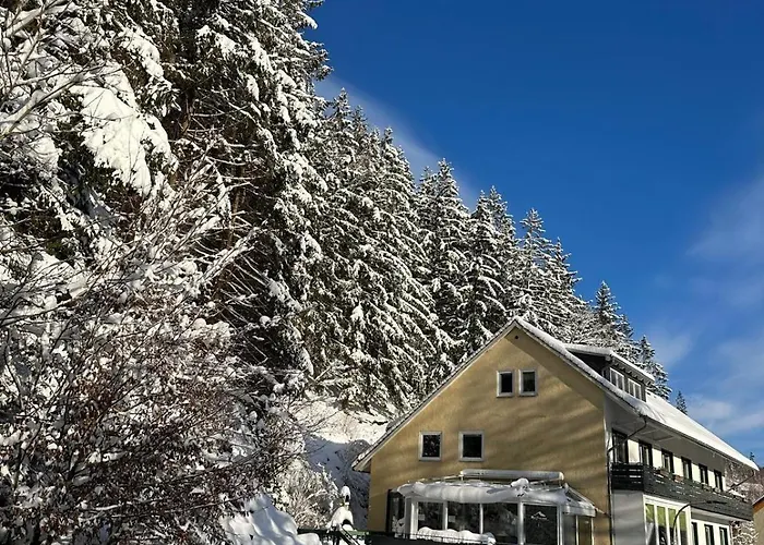 Haus Georgenhoehe Wildemann