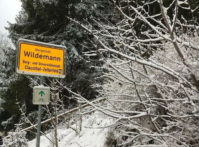 Haus Georgenhoehe Wildemann