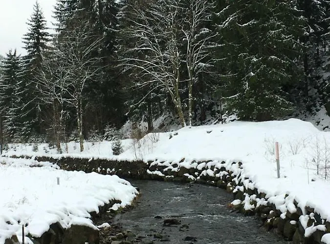 Haus Georgenhoehe Wildemann