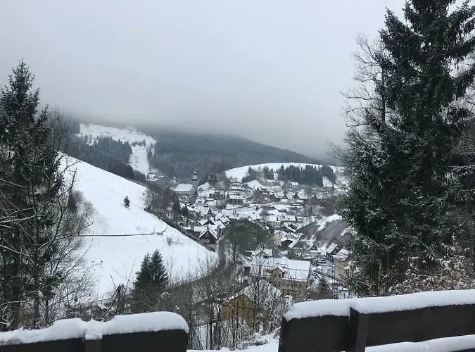 Сasa de vacaciones Haus Georgenhoehe *