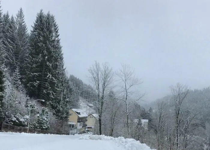 Haus Georgenhoehe Wildemann