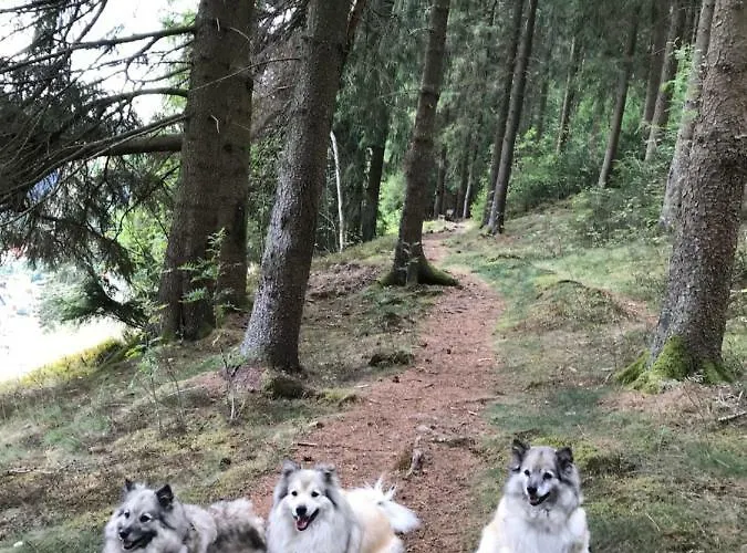 Haus Georgenhoehe Wildemann